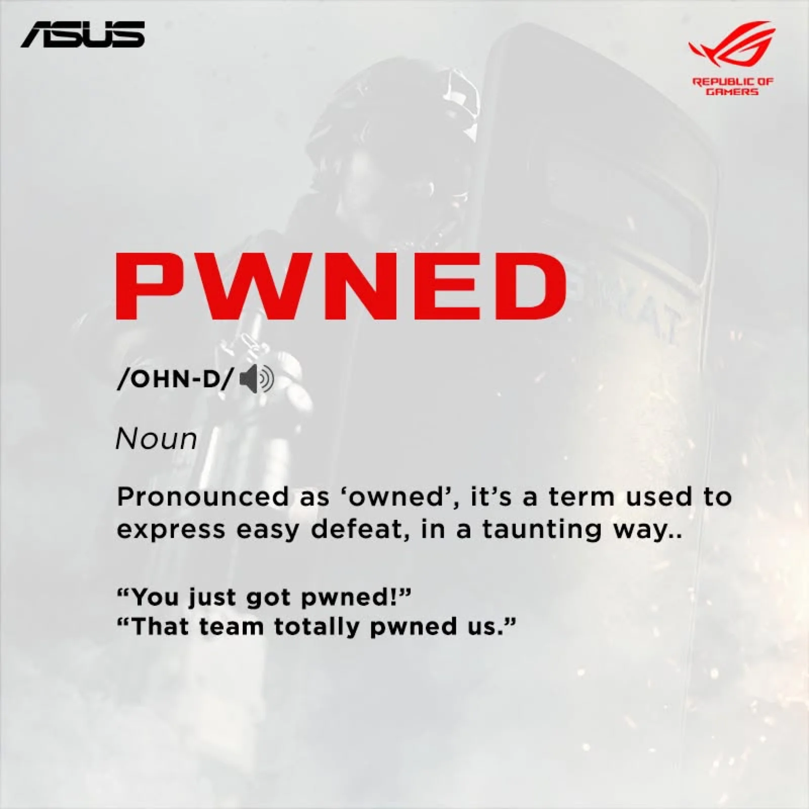 Gamer Dictionary post, Pwned